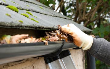 gutter cleaning Westwood Park